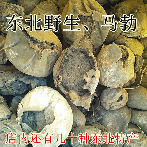 野生马勃500克 东北天然马勃菌 马粪包 马屁包 牛屎菇马勃 包邮