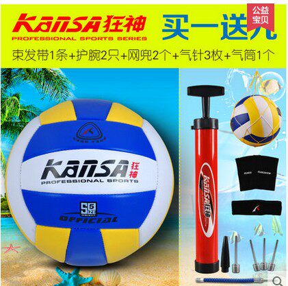 Ballon de volley-ball - Ref 2010909 Image 1