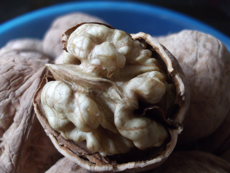 甘肃庆阳核桃特产无漂白核桃口福坚果特产零食500*5包邮