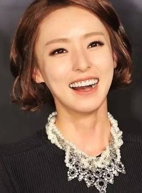 水晶短款韩国假领子夸张毛衣链