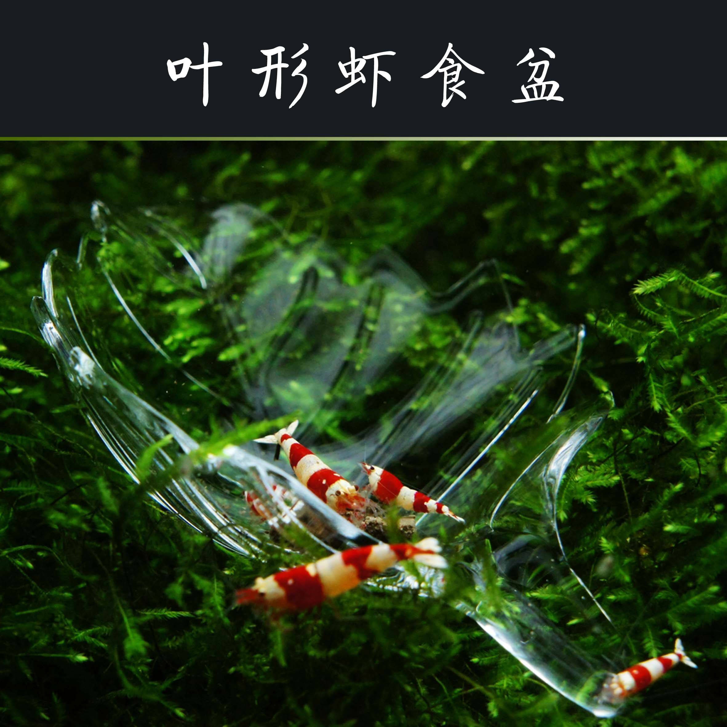 草丛工场叶形虾食盆（饲料盆、喂食盆、虾粮盆） 造型别致