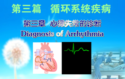 高校医学精品获奖Flash课件制作—必律失常