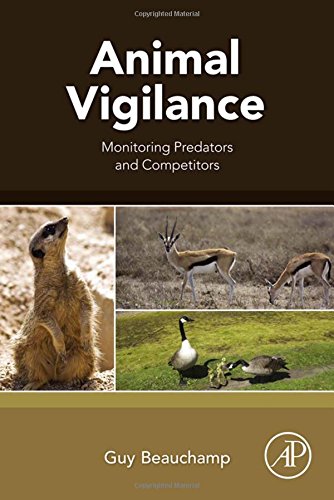 【预订】Animal Vigilance