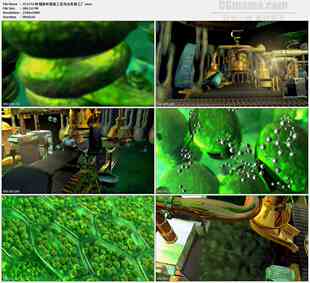 叶绿体叶绿素工作光合作用工厂高清实拍视频素材