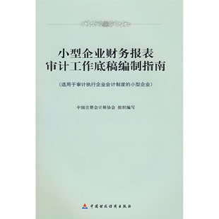 当当网 小型企业财务报表审计工作底稿编制指南 中国注册会计师协会组织 中国财政经济出版社一 正版书籍