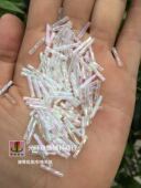 4.5mm 12mm彩白色螺旋玻璃珠管 DIY螺纹管珠 服装 婚纱辅料