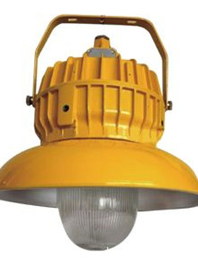 BPC8710防爆平台灯,70W100W150W防爆工厂灯