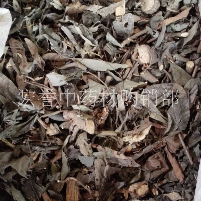 饿蚂蝗 野生中药材 饿蚂蝗 山蚂蝗 粘身草  红掌草 500克