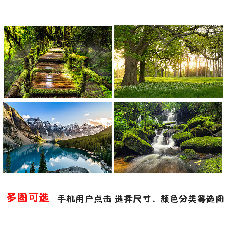 自然风景 秀美山川  海报 装饰画 湖泊 石壁 小溪 森林海报定制 家居饰品 现代装饰画 原图主图