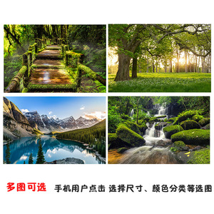 自然风景 秀美山川  海报 装饰画 湖泊 石壁 小溪 森林海报定制