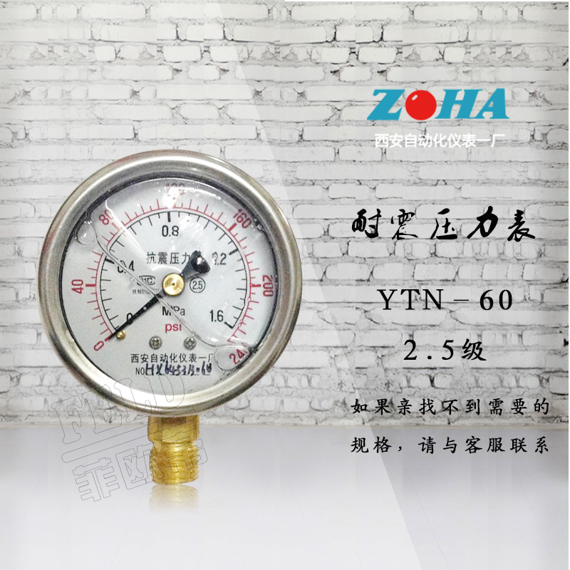 抗震真空充油压力表