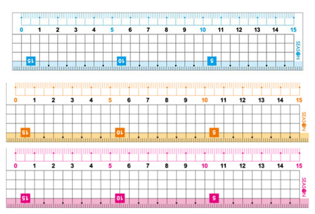 SEASON台湾四季功能尺15公分直尺尺子学生文具用品
