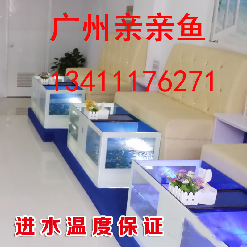 亲亲鱼足疗鱼缸 广州 新塘 东莞 全国 鱼疗足疗鱼缸 加盟定做