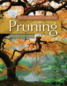 【4周达】An Illustrated Guide to Pruning [9781111307301]