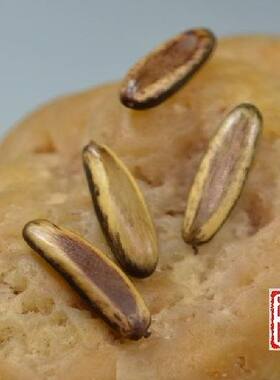 金梭菩提子 橄榄核雕 观音 佛雕刻定做 手串 项链制作 雕刻工具