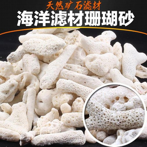 珊瑚砂滤材过滤材料生态水族鱼缸珊瑚骨改善净化水质循环养水底砂