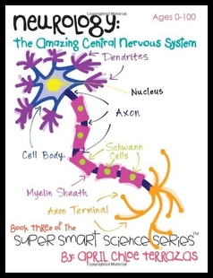 The Amazing 預(yù)售 Central Nervous Neurology