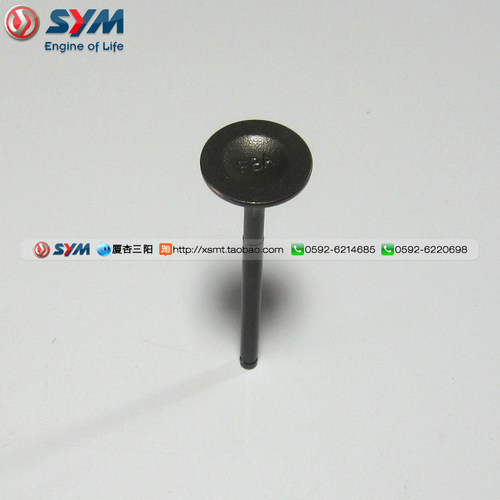 气门三阳小钢侠排气门