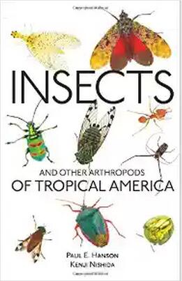 美国库房发货，通常付款后5-8周到货！