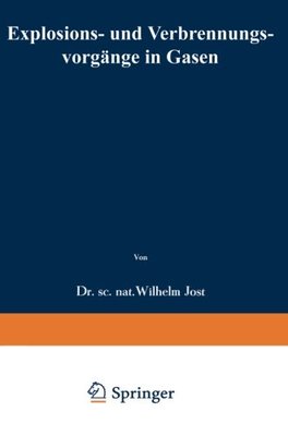 【预订】Explosions- Und Verbrennungsvorgange...