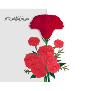 Pads pour soutien-gorge 2NUL - Ref 817835 Image 27