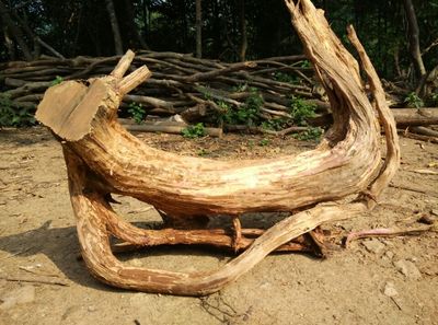 木根雕毛料造景手把件