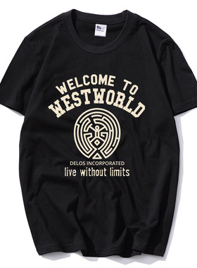 DESTRO西部世界印花t恤男短袖迷宫男圆领宽松短袖t恤夏季潮男短袖