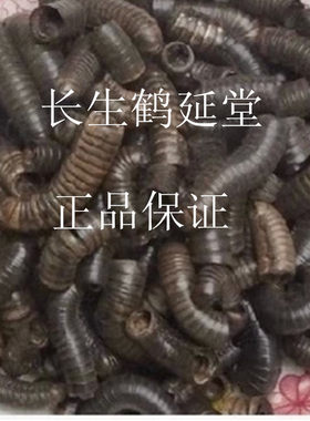 马陆袋装四川山蛰虫中药材可磨粉