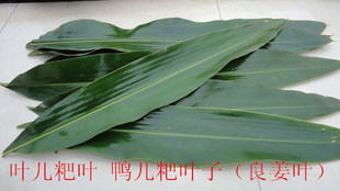 宜宾特产叶儿粑猪儿粑鸭儿耙叶子新鲜叶子良姜叶5张 另售叶儿粑粉