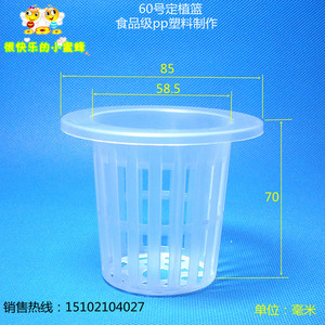 60号10只无土栽培设备水培蔬菜瓜果固根种植杯定植篮 满50包邮