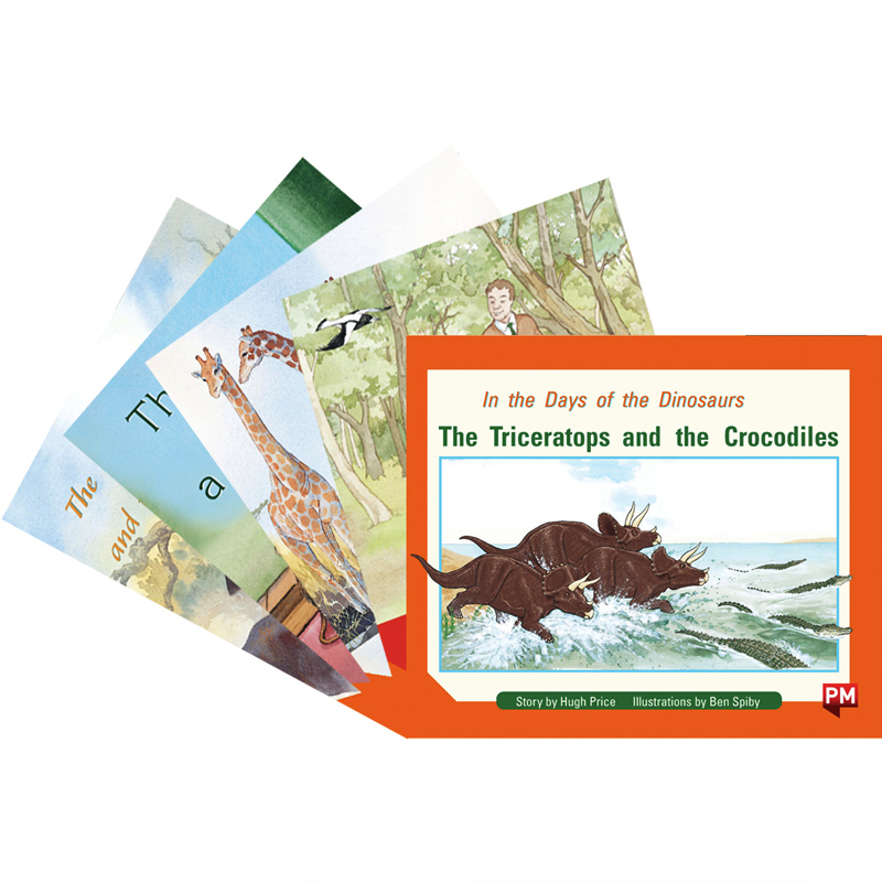 进口原版英文PM彩虹阅读系列PM READERS - ORANGE, SET 16A FICTION READERS X 5橙色级别 Level16A全5册10-12岁儿童英语分级