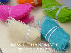 CC06 小号彩色干树叶叶片叶脉永生花 diy手工拍照道具书签四片