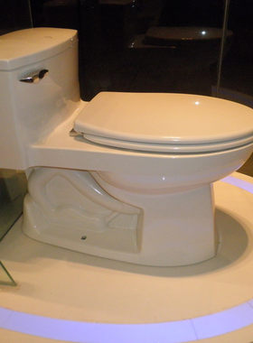 德国卫浴305mm连体坐便器