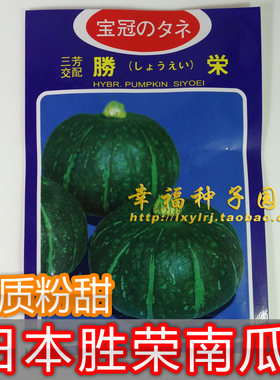 板栗粉甜南瓜西洋南瓜蔬菜种子