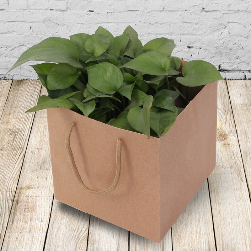 韩国原单花店纸袋大号加厚盆栽鲜花包装纸袋子植物盆栽手提礼品袋