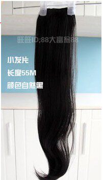 Extension cheveux - Ref 221610 Image 1