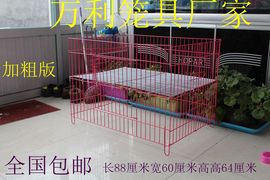 狗笼子小型犬泰迪，笼子贵宾跑笼无上盖跑床展示台围栏狗窝