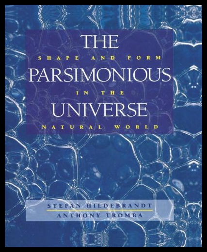 【预售】The Parsimonious Universe: Shape and Form in the
