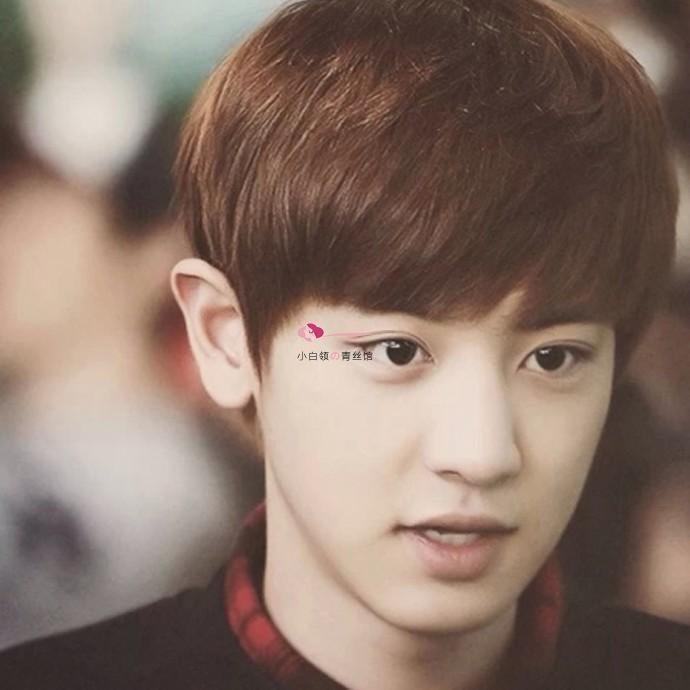 Perruque cheveux raides Court - Ref 2607942 Image 1