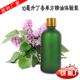 OEM丁香花100%香薰精油 体验装 丁香单方精油 10ml美容院院装