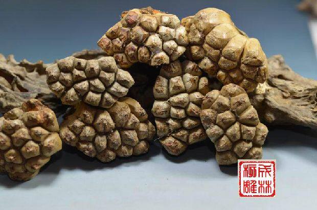 14瓣及以上多瓣连体滴血莲花菩提原料  金钵菩提子 橄榄核雕定做