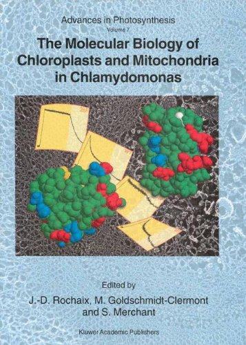 【预订】the molecular biology of chloroplast.