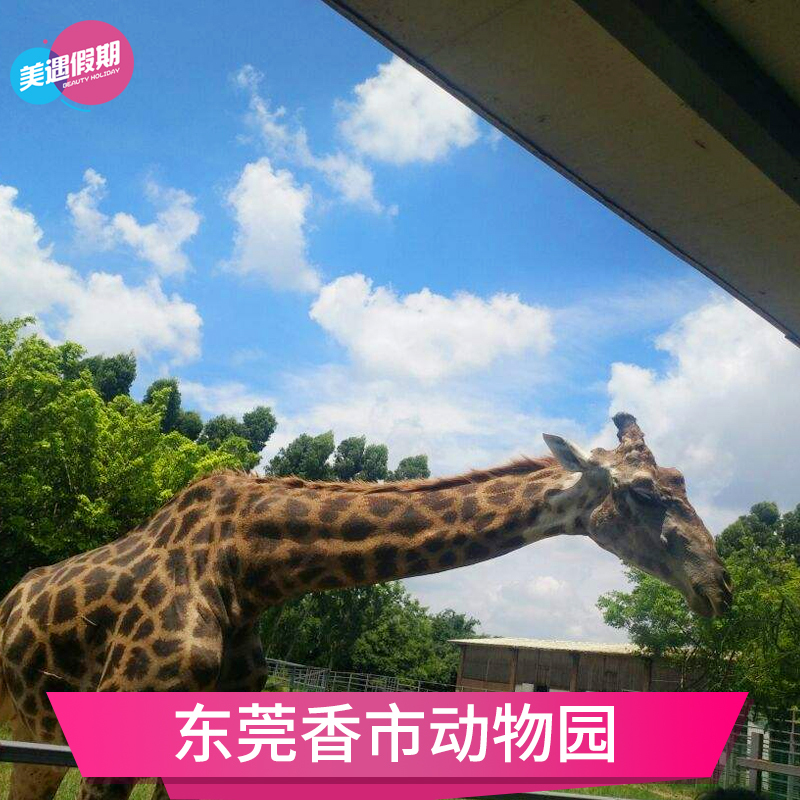 [东莞香市动物园-大门票]东莞周末亲子游景区门票休闲
