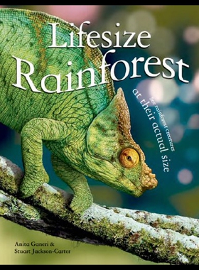 【预售】Lifesize: Rainforest: See Rainforest Creatures at