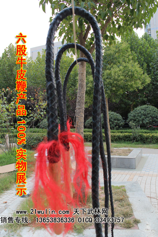纯牛皮鞭子2.5-3.5米 健身响鞭非麒麟鞭不锈钢鞭子武术鞭子九节鞭