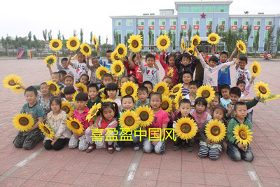 仿真向日葵太阳花元旦幼儿跳舞道具舞蹈团体操运动会开幕入场式花