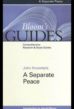 【预售】John Knowles's a Separate Peace