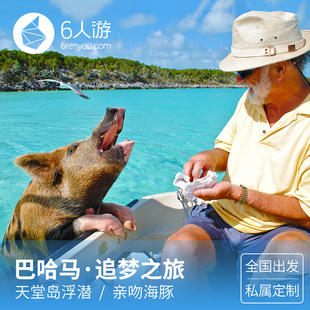 亲吻海豚 追梦巴哈马9日天堂岛浮潜 沙滩小猪伴泳 定制旅行