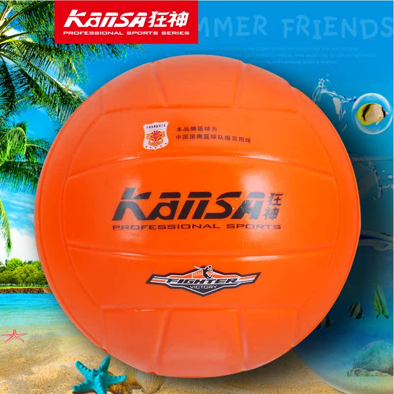 Ballon de volley - Ref 2016754 Image 1