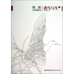 禽鸟写生(2)/唯美白描精选 正版书籍 木垛图书